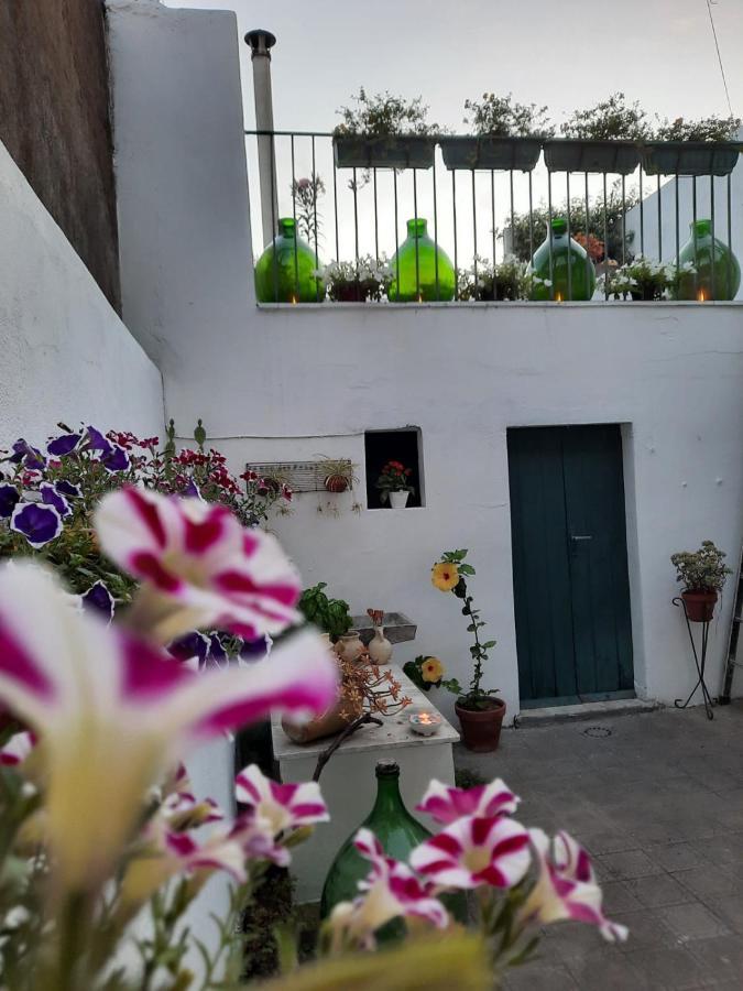 Argenta 111 Santa Tecla Acireale Villa Buitenkant foto