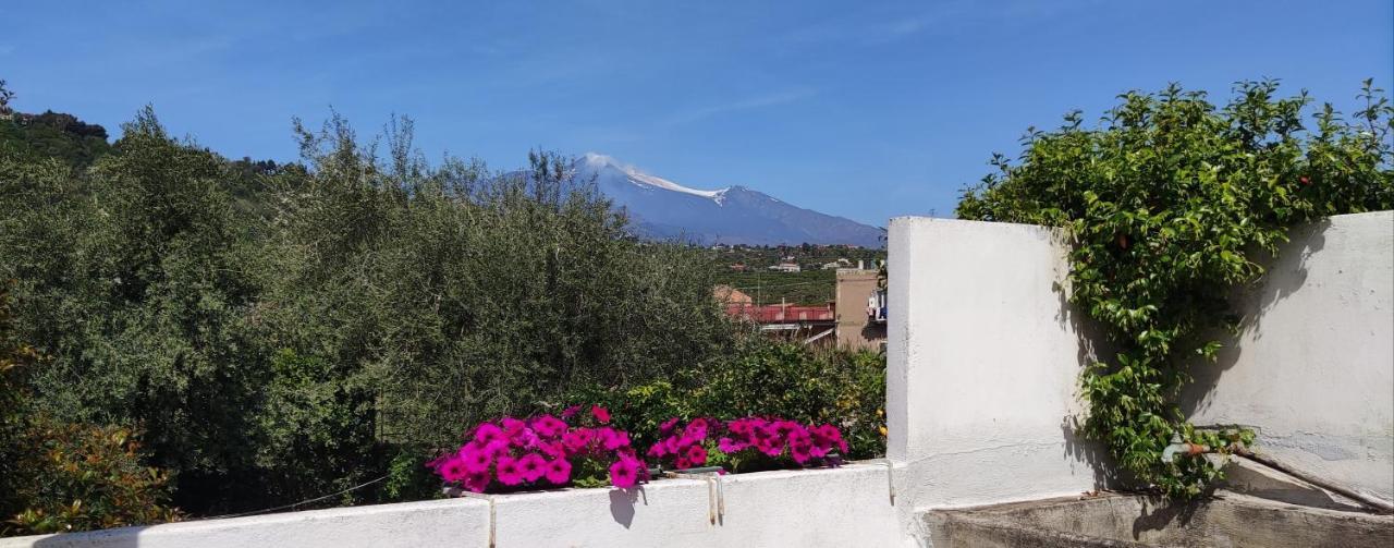 Argenta 111 Santa Tecla Acireale Villa Buitenkant foto