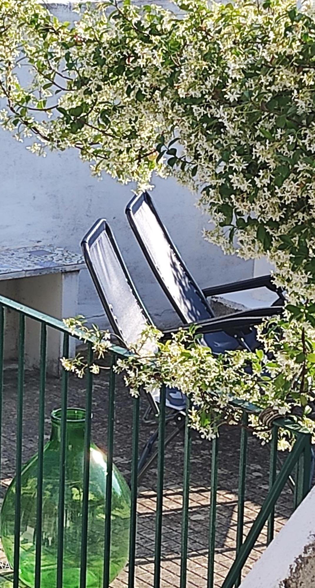 Argenta 111 Santa Tecla Acireale Villa Buitenkant foto